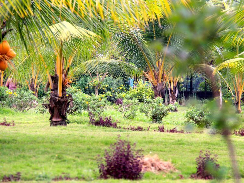 Okura Island Resort And Spa Kadalur Buitenkant foto